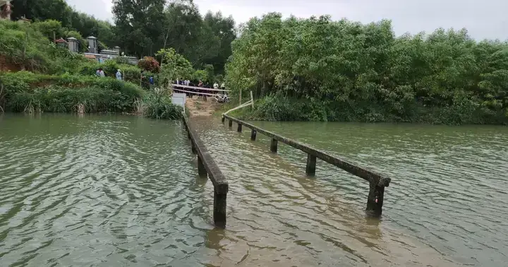 Giải Mã Giấc Mơ Thấy Cây Kim