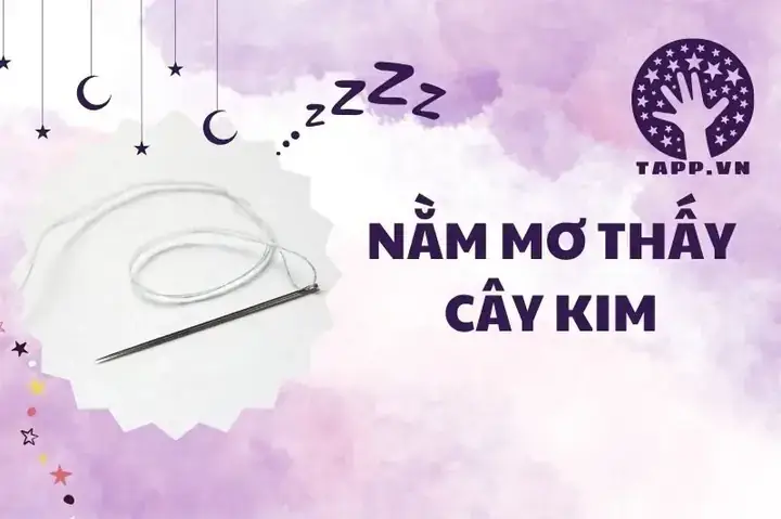 Giải Mã Giấc Mơ Thấy Cây Kim