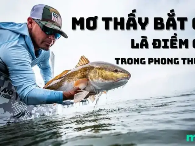 Giải Mã Giấc Mơ Thấy Chày Cá