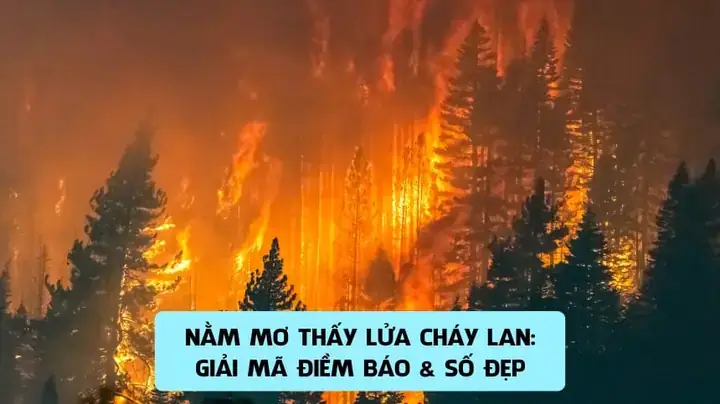 Giải Mã Giấc Mơ Thấy Cháy Nổ Giải Mã Giấc Mơ Thấy Cháy Nổ