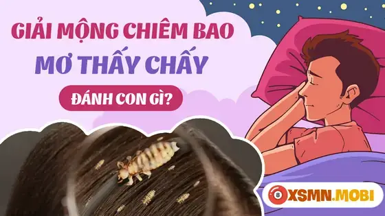 Giải Mã Giấc Mơ Thấy Chấy Rận