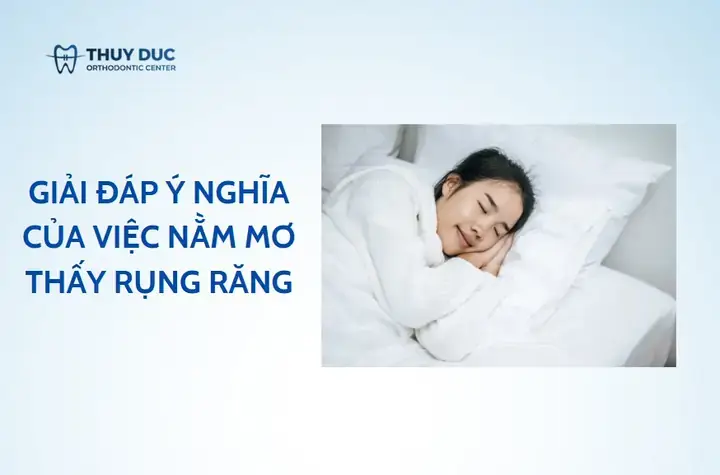 Giải Mã Giấc Mơ Thấy Chim Bay Mất Giải Mã Giấc Mơ Thấy Chim Bay Mất
