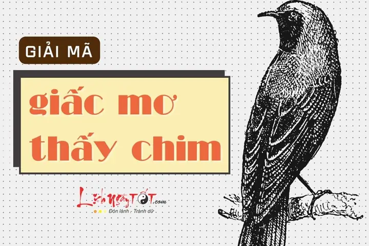 Giải Mã Giấc Mơ Thay Chim Con