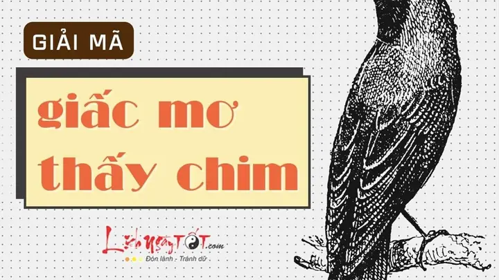 Giải Mã Giấc Mơ Thay Chim Con