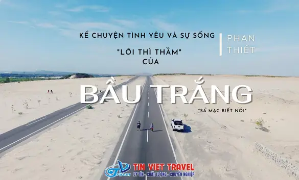 Giải Mã Giấc Mơ Thấy Chim Công Trắng