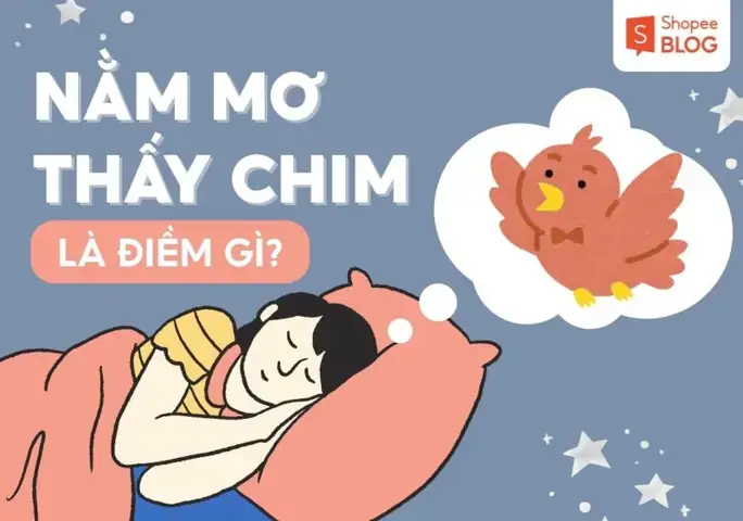 Giải Mã Giấc Mơ Thấy Chim Cu