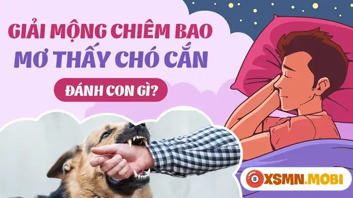 Giải Mã Giấc Mơ Thấy Chó Cắn