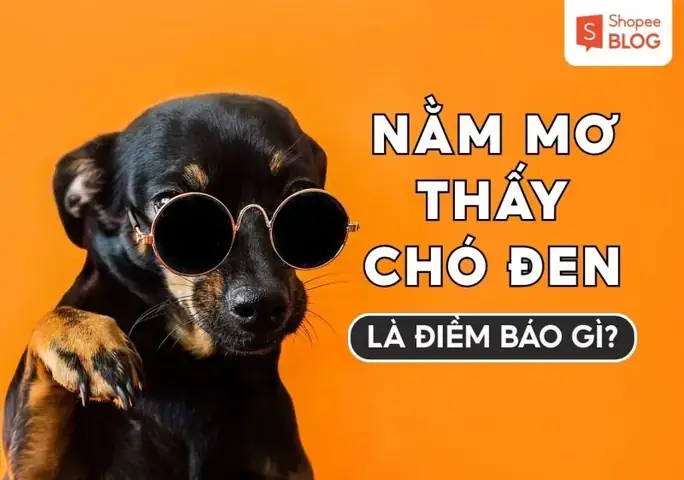 Giải Mã Giấc Mơ Thấy Chó Con