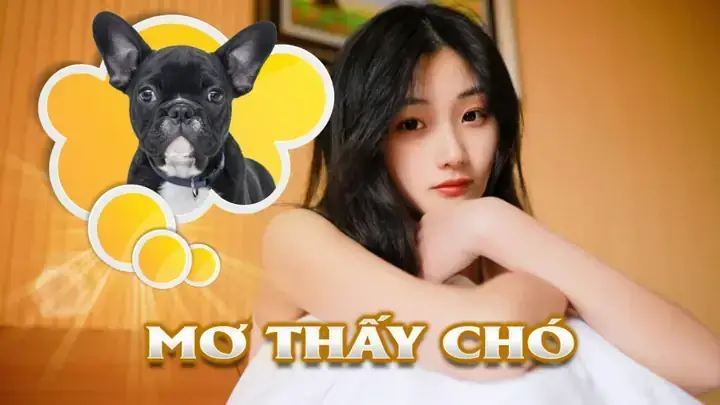 Giải Mã Giấc Mơ Thấy Chó Vàng