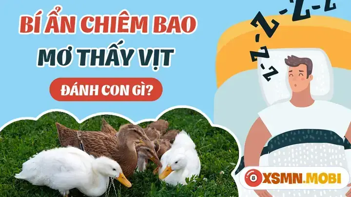 Giải Mã Giấc Mơ Thấy Chứng Ngỗng Giải Mã Giấc Mơ Thấy Chứng Ngỗng