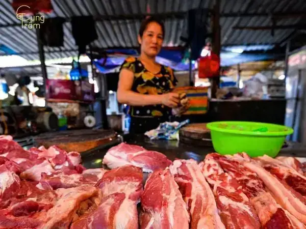 Giải Mã Giấc Mơ Thấy Chuồng Lợn