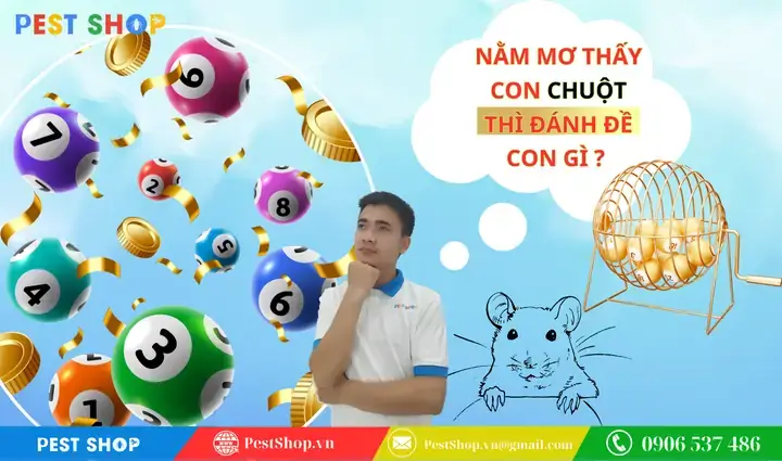 Giải Mã Giấc Mơ Thấy Chuột Cắn Giải Mã Giấc Mơ Thấy Chuột Cắn