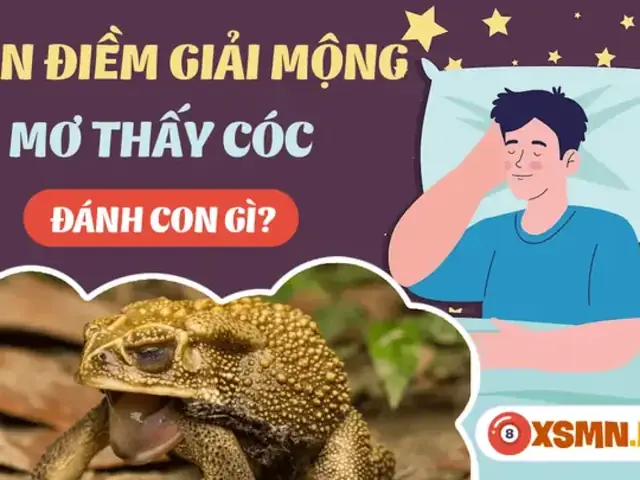 Giải Mã Giấc Mơ Thấy Con Cóc Giải Mã Giấc Mơ Thấy Con Cóc