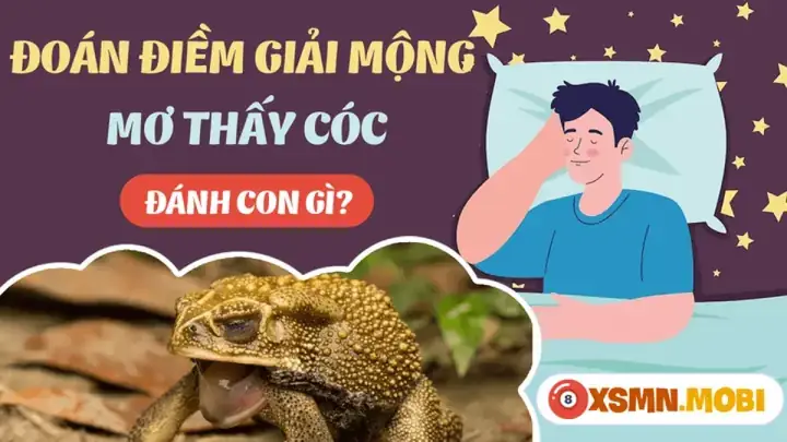Giải Mã Giấc Mơ Thấy Con Cóc