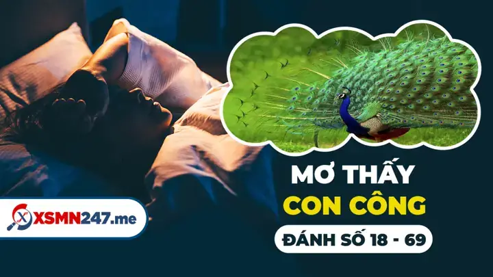 Giải Mã Giấc Mơ Thấy Con Công Giải Mã Giấc Mơ Thấy Con Công
