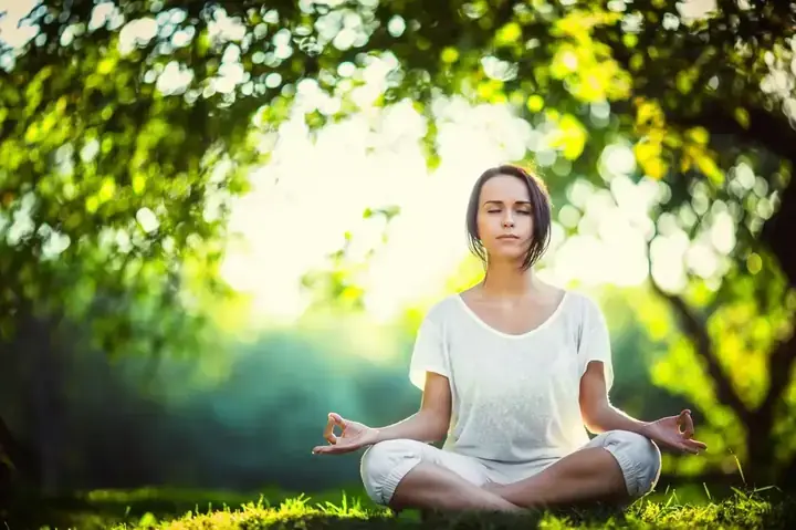 Giải Mã Giấc Mơ Thấy Con Công Giải Mã Giấc Mơ Thấy Con Công