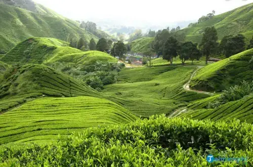 Giải Mã Giấc Mơ Thấy Con Dốc Giải Mã Giấc Mơ Thấy Con Dốc