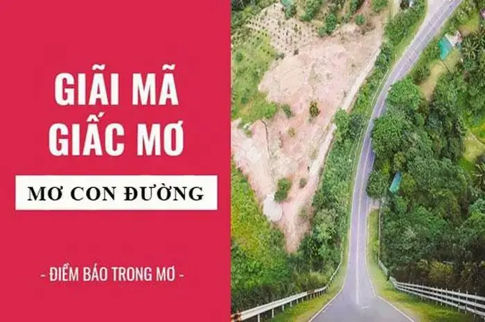 Giải Mã Giấc Mơ Thấy Con Đường Giải Mã Giấc Mơ Thấy Con Đường