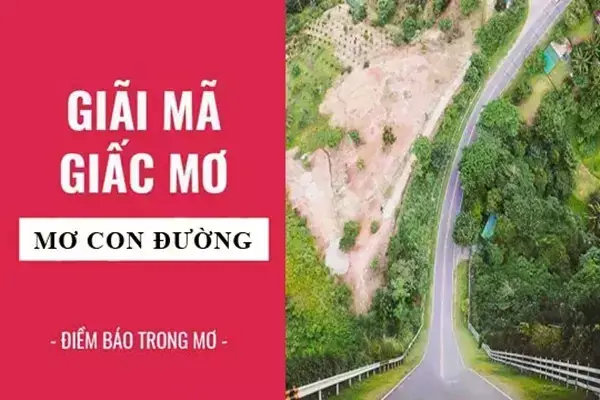 Giải Mã Giấc Mơ Thấy Con Đường Giải Mã Giấc Mơ Thấy Con Đường