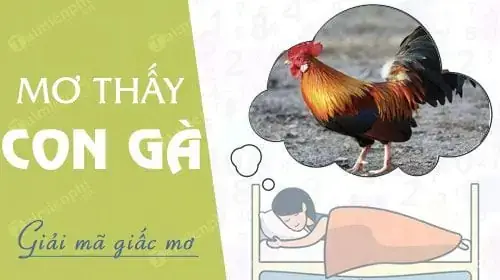 Giải Mã Giấc Mơ Thấy Con Gà