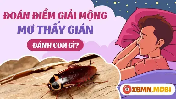 Giải Mã Giấc Mơ Thấy Con Gián