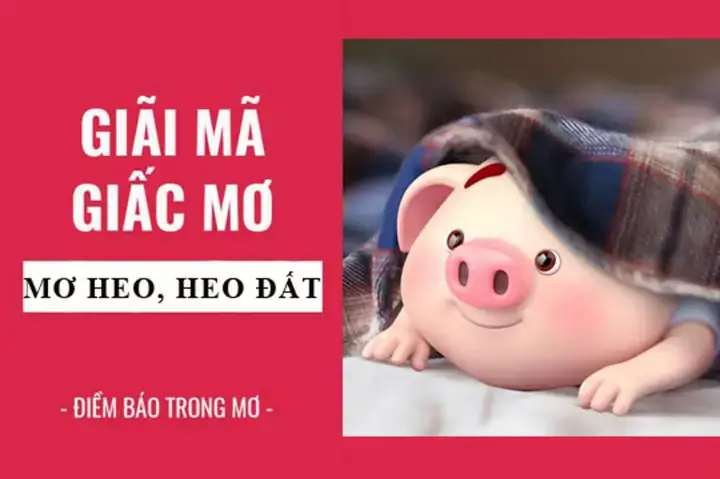 Giải Mã Giấc Mơ Thấy Con Heo