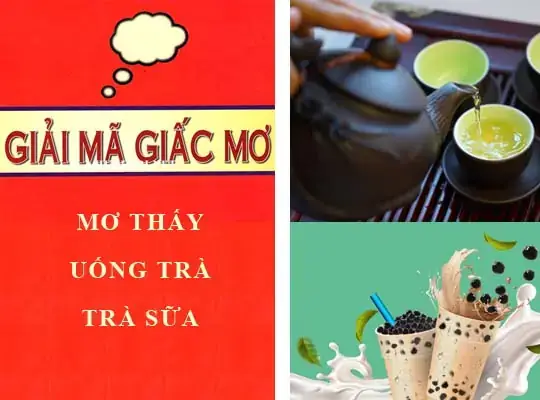 Giải Mã Giấc Mơ Thấy Con Trăn