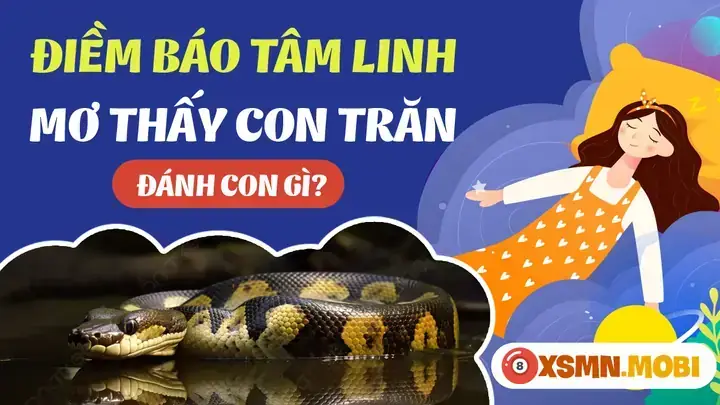 Giải Mã Giấc Mơ Thấy Con Trăn