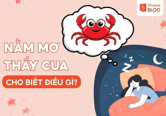 Giải Mã Giấc Mơ Thấy Cua Biển