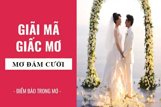 Giải Mã Giấc Mơ Thấy Đám Cưới Giải Mã Giấc Mơ Thấy Đám Cưới