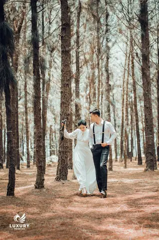 Giải Mã Giấc Mơ Thấy Đám Cưới Của Mình Giải Mã Giấc Mơ Thấy Đám Cưới Của Mình
