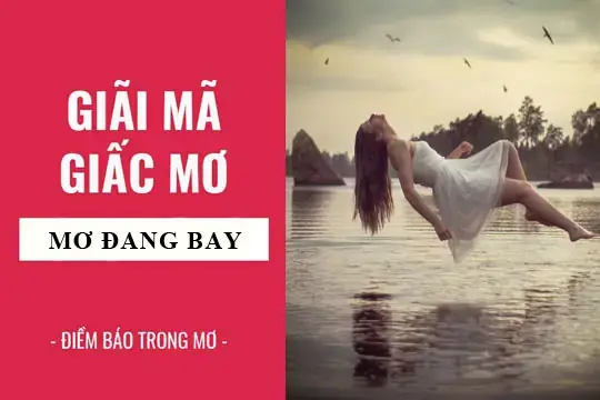 Giải Mã Giấc Mơ Thấy Đang Bay Giải Mã Giấc Mơ Thấy Đang Bay