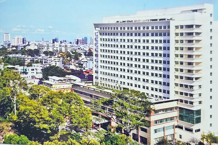 Giải Mã Giấc Mơ Thay Dang Di Truc Benh Vien