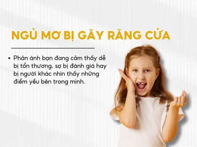 Giải Mã Giấc Mơ Thấy Đánh Người