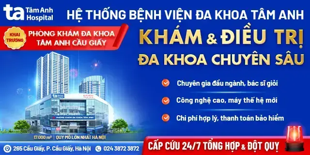 Giải Mã Giấc Mơ Thấy Đánh Nhau Giải Mã Giấc Mơ Thấy Đánh Nhau