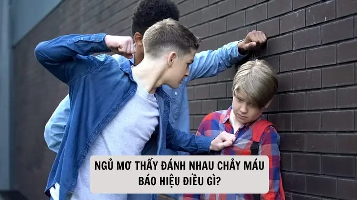 Giải Mã Giấc Mơ Thấy Đánh Nhau Chảy Máu