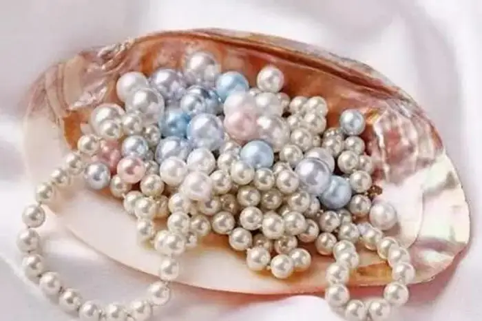 Giải Mã Giấc Mơ Thấy Đếm Tiền