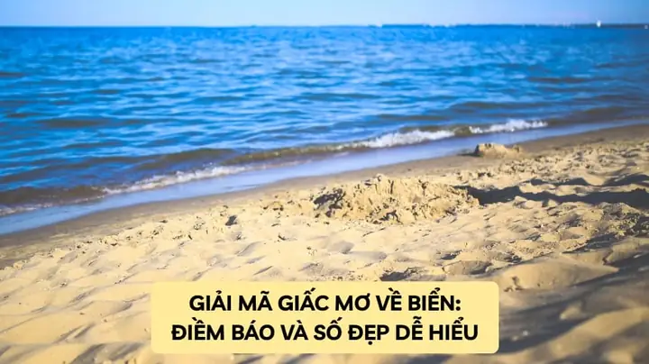 Giải Mã Giấc Mơ Thấy Dép Bị Đút Đôi