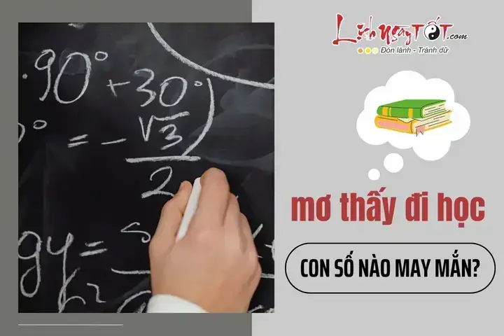 Giải Mã Giấc Mơ Thấy Đi Học Về