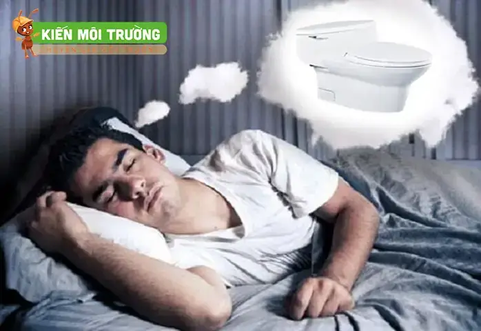 Giải Mã Giấc Mơ Thấy Đi Ỉa