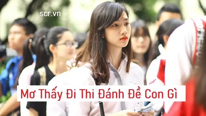 Giải Mã Giấc Mơ Thấy Đi Thi Muộn