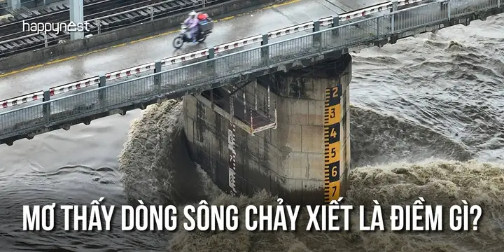 Giải Mã Giấc Mơ Thấy Đi Trong Dòng Sônv Giải Mã Giấc Mơ Thấy Đi Trong Dòng Sônv