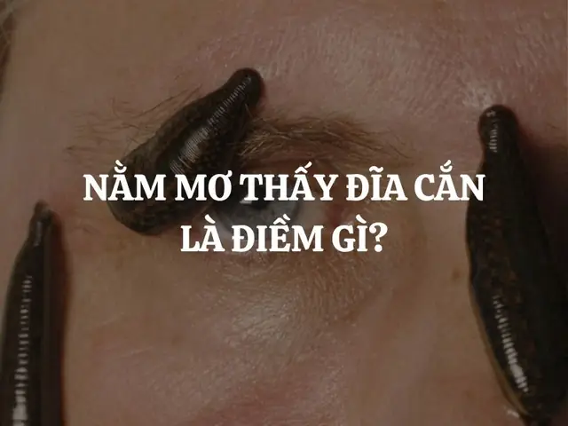 Giải Mã Giấc Mơ Thấy Đĩa Cắn