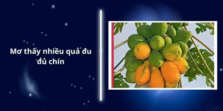 Giải Mã Giấc Mơ Thấy Đu Đủ