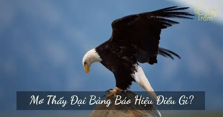 Giải Mã Giấc Mơ Thấy Dương Vật