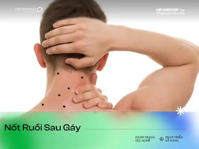 Giải Mã Giấc Mơ Thấy Ếch Trong Mưa