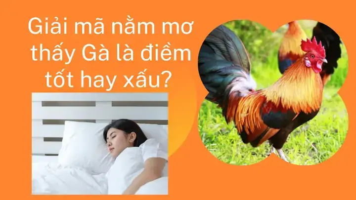 Giải Mã Giấc Mơ Thấy Gà Trống
