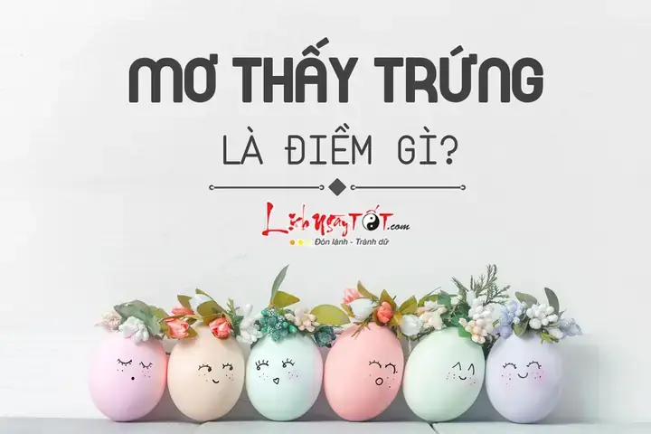 Giải Mã Giấc Mơ Thấy Gà Vịt