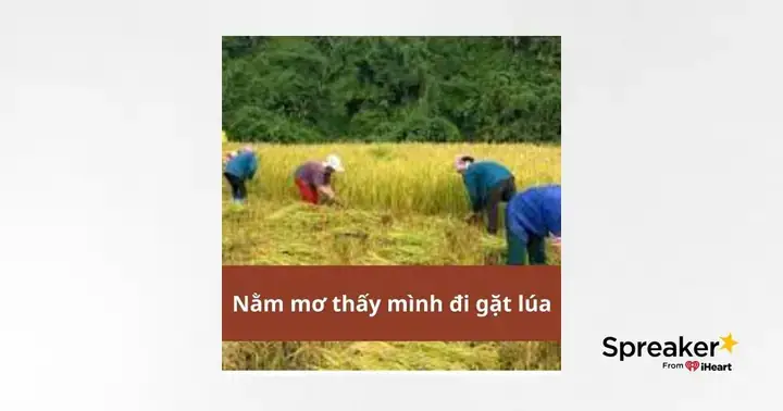 Giải Mã Giấc Mơ Thấy Gặt Lúa
