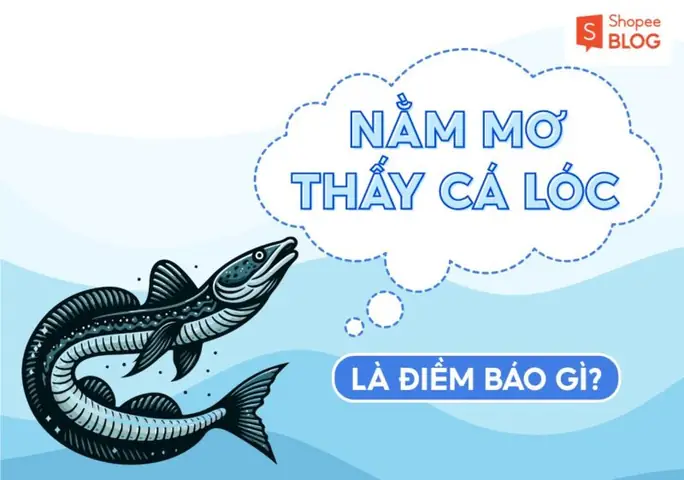 Giải Mã Giấc Mơ Thay Hai Trai Cay